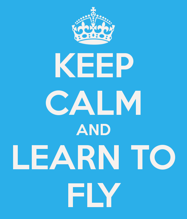 Learn to Fly, or Stay Grounded Forever 